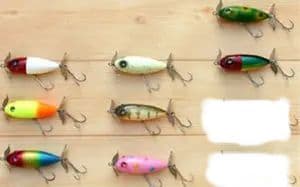 ZEAL バシャーン 1/2オンス 10色セット