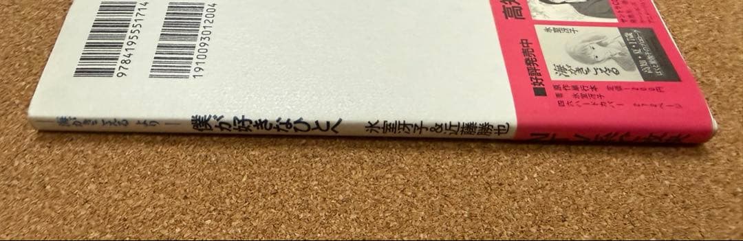 僕が好きなひとへ 氷室冴子 近藤勝也 海がきこえる 徳間書店　第一刷