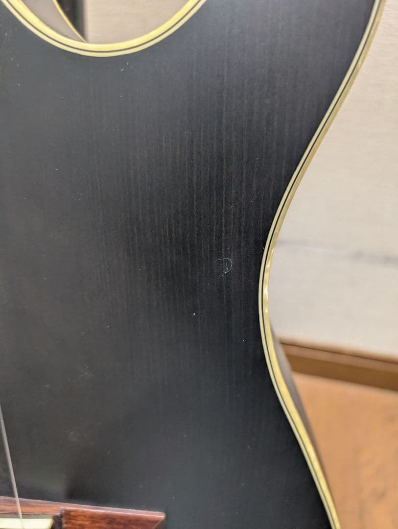 Ibanez timhensonモデル