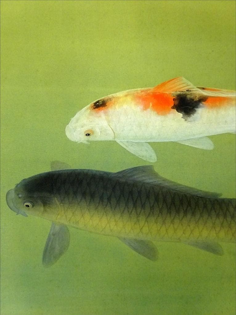 【真作】掛軸 奥村玲瓏『鯉図』絹本 肉筆 共箱付 掛け軸 a091615