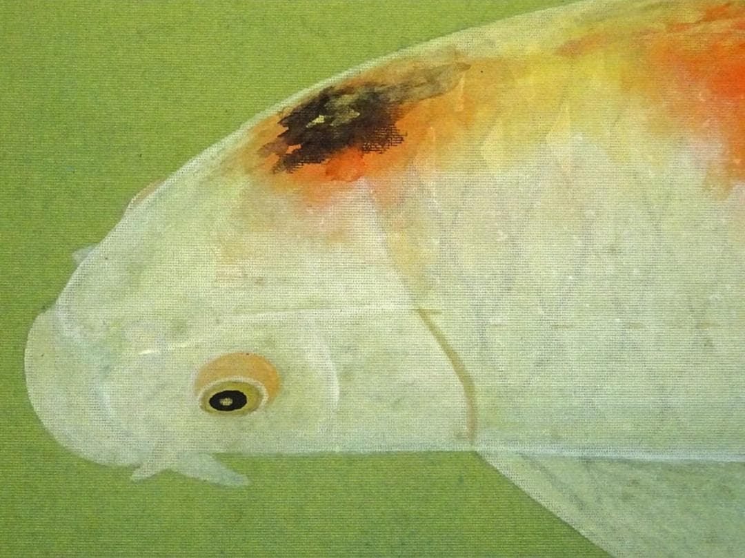 【真作】掛軸 奥村玲瓏『鯉図』絹本 肉筆 共箱付 掛け軸 a091615