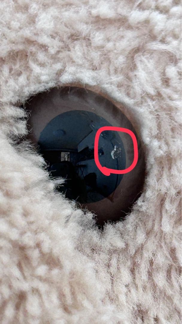 【レア】ダッフィー　ぬいぐるみ　おそらく旧LLサイズ (1番大きい？)値下げ中