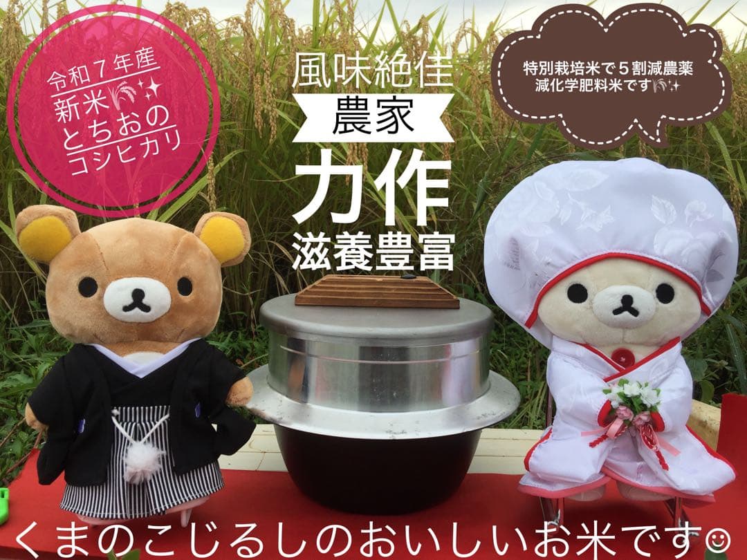 令和7年産新米＊農家力作⭐︎新潟とちおのコシヒカリ玄米風袋込み25kg特別栽培米