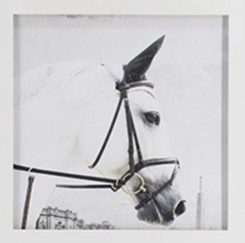 アートフレーム 額絵 2枚セット 馬 クラシックモダン シンプル 85551PI