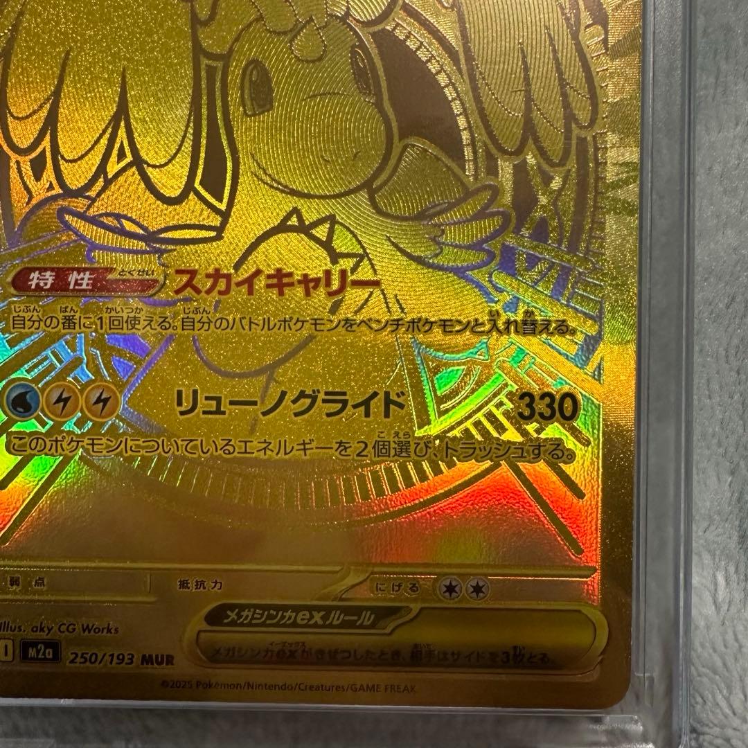 ふ*ぷ様 メガカイリューEX、MUR