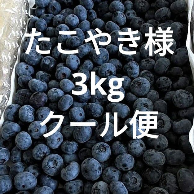 ★完熟生ブルーベリー3kg★