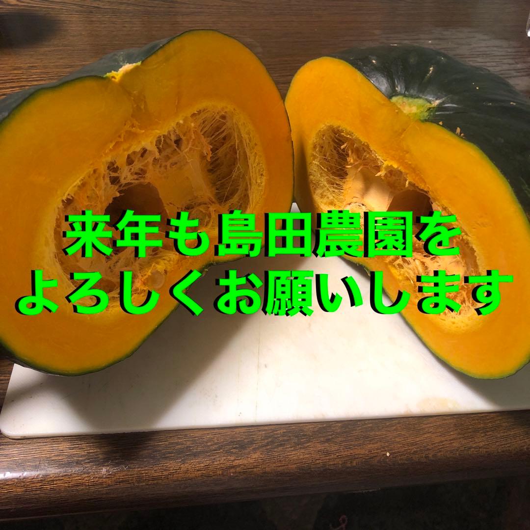 北海道産！かぼちゃ7玉入り 10kg！ ブラックのジョー！