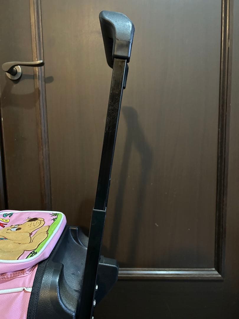 ABSボーリングキャリーバッグと付属品　中古品