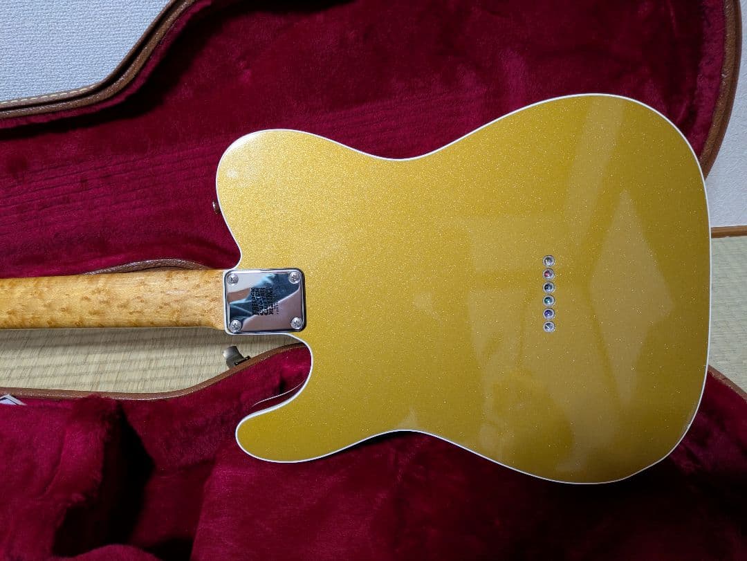 ギター k.nyui custom guitars knte gold back