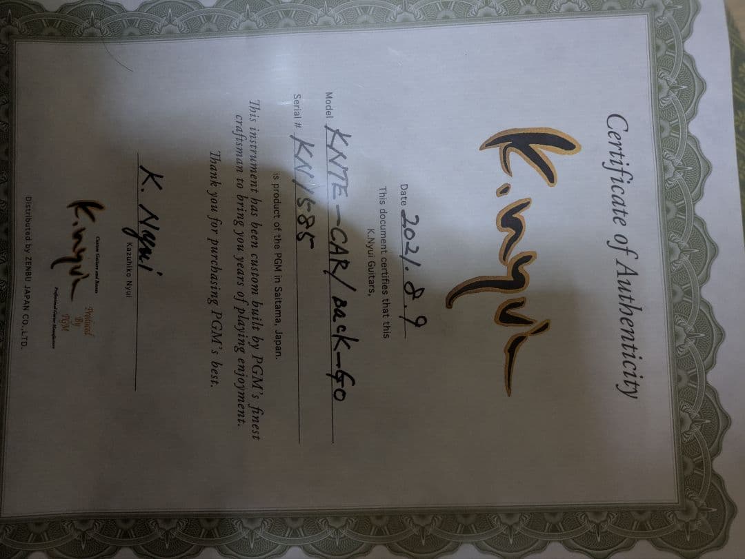 ギター k.nyui custom guitars knte gold back