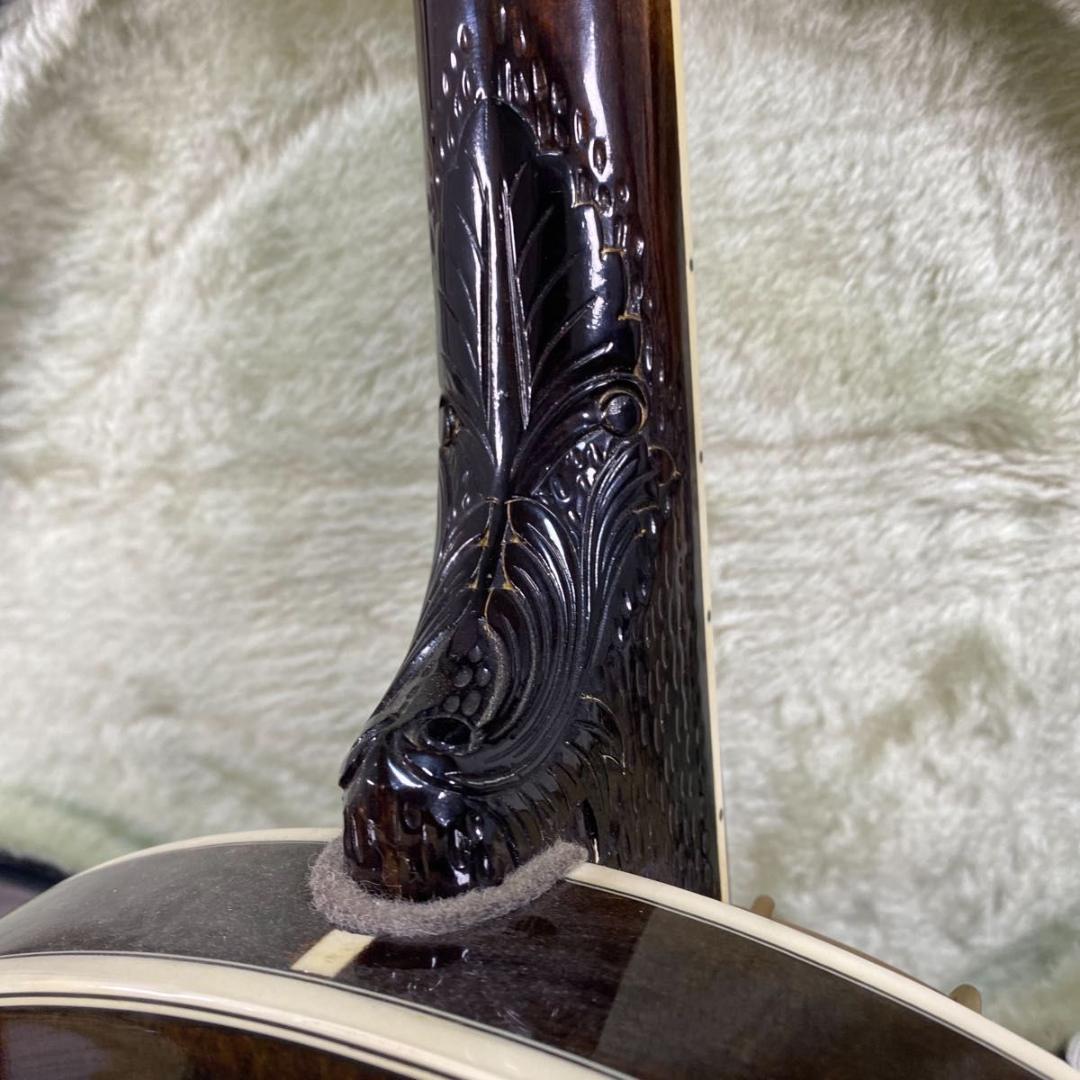 Aria アリア SB-600 5弦 デラックスバンジョー　BANJO