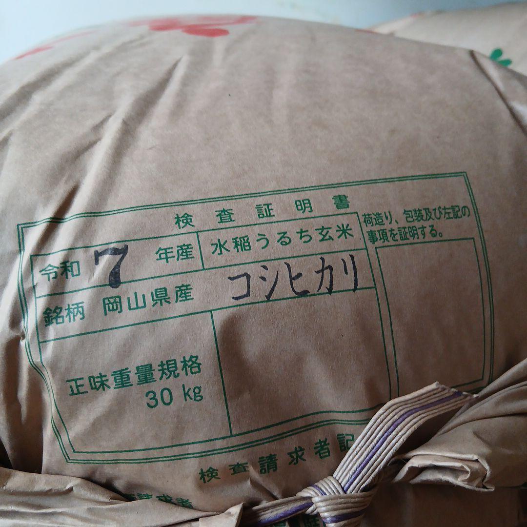 令和7年度産真庭米 コシヒカリ 玄米30kg低温保存低農薬農家直送