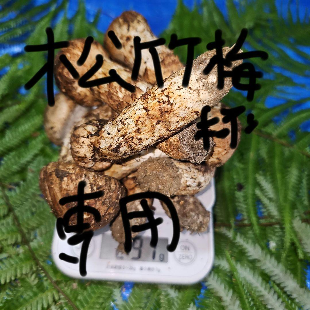 広島県産 松茸 291g　松竹梅さま専用