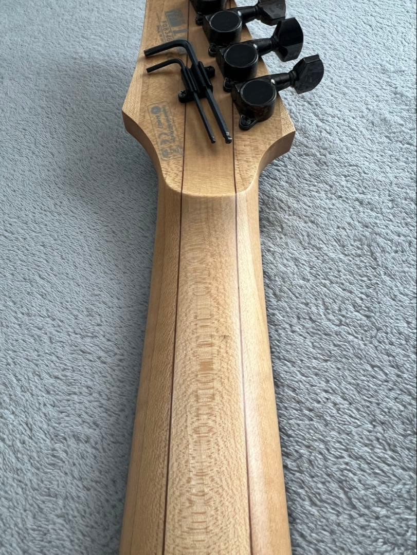 【最終値下げ】Ibanez S5470 Prestige TBS