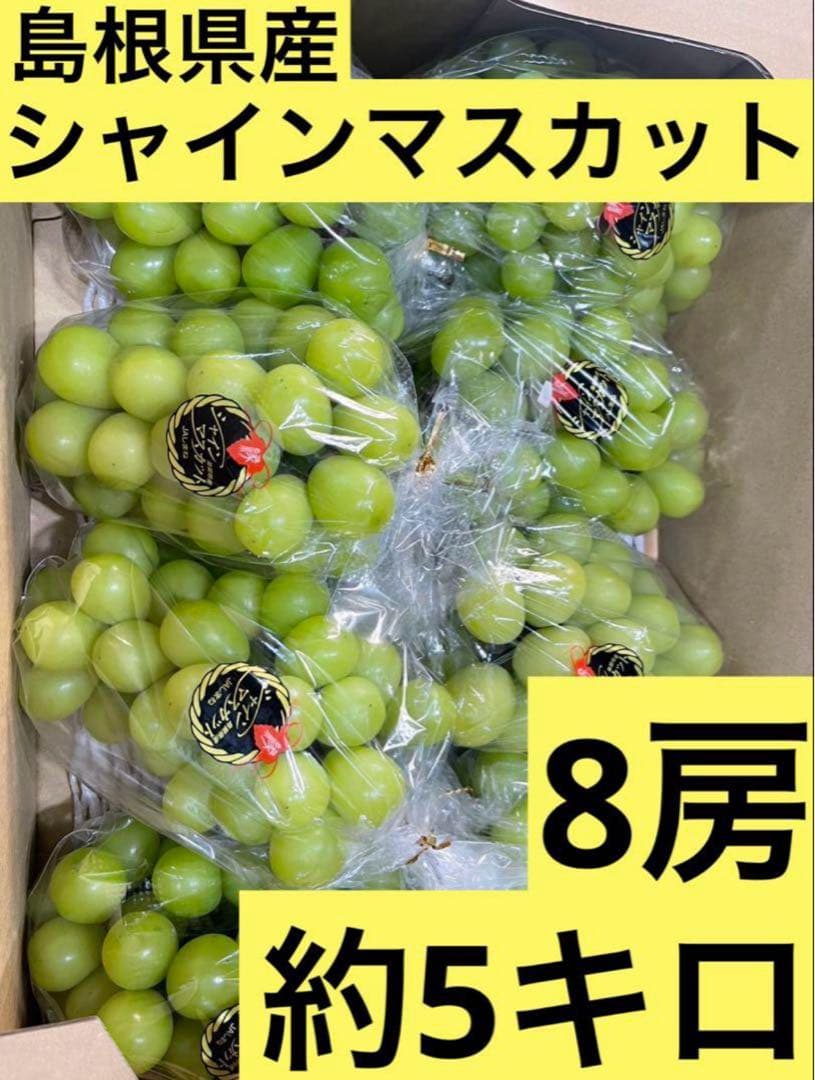 ④【島根県産】シャインマスカット約5キロ(8房)