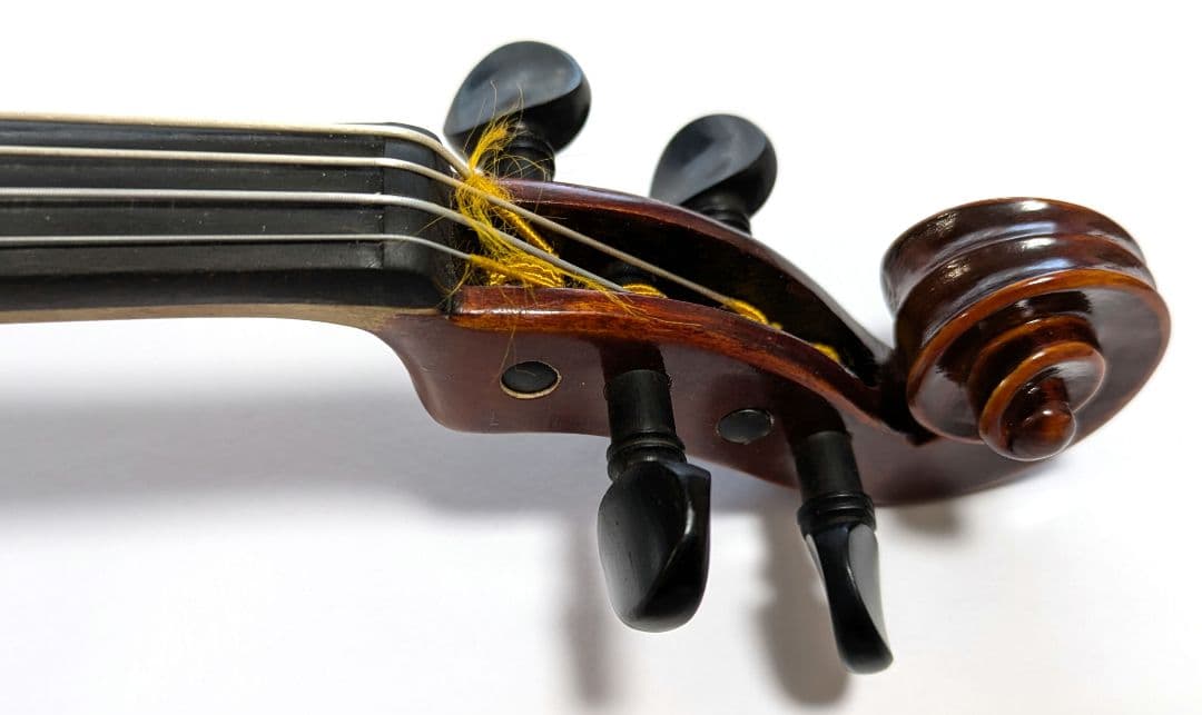 Grazioso　グラツィオーソ GV-0 バイオリン 1/8 2024　楽器