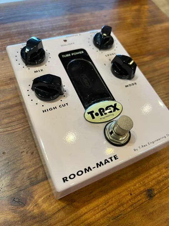 *【希少】T-Rex Room-Mate ティーレックス ルームメイト