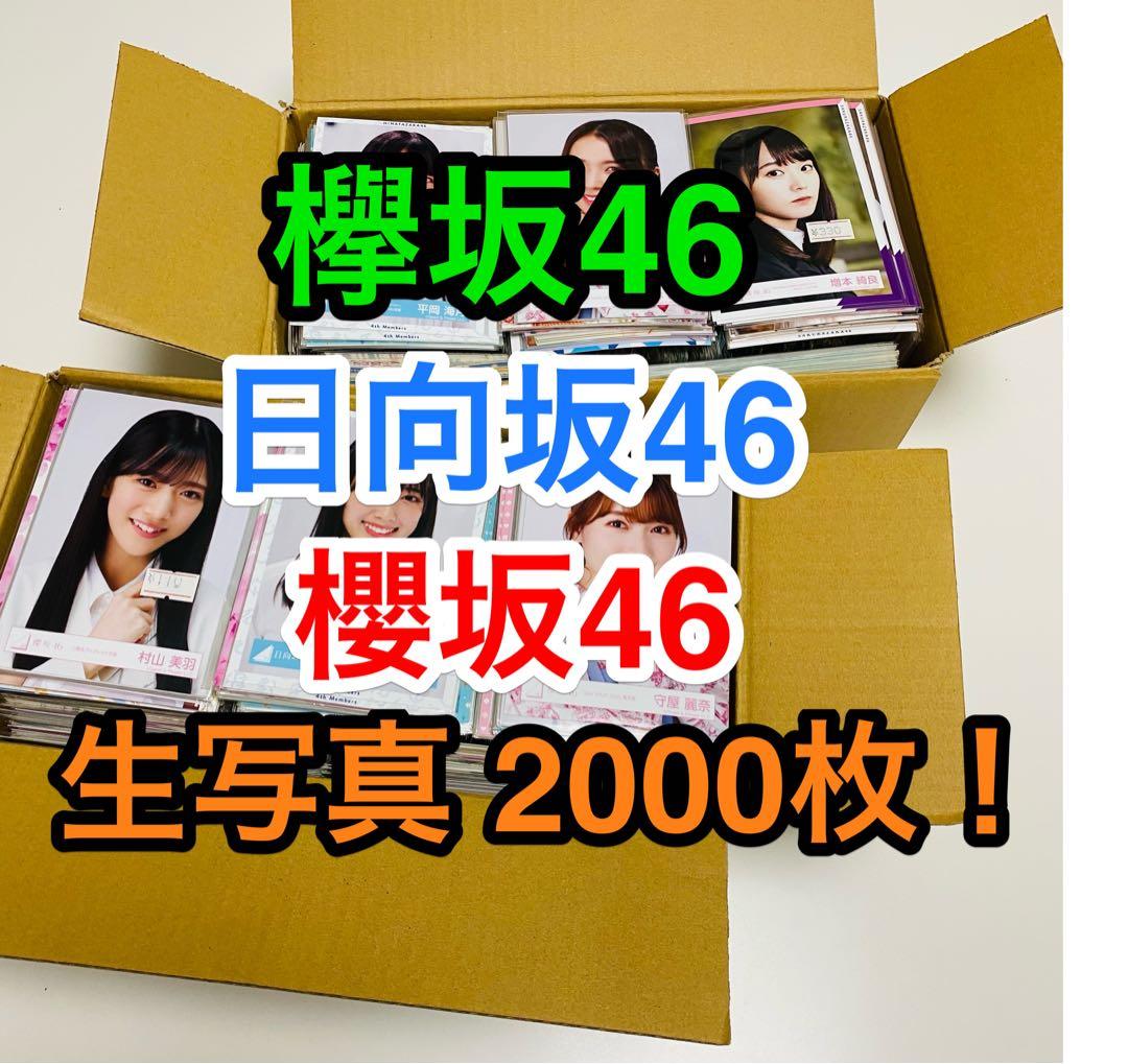 ラスト一点 欅坂46/日向坂46/櫻坂46 生写真