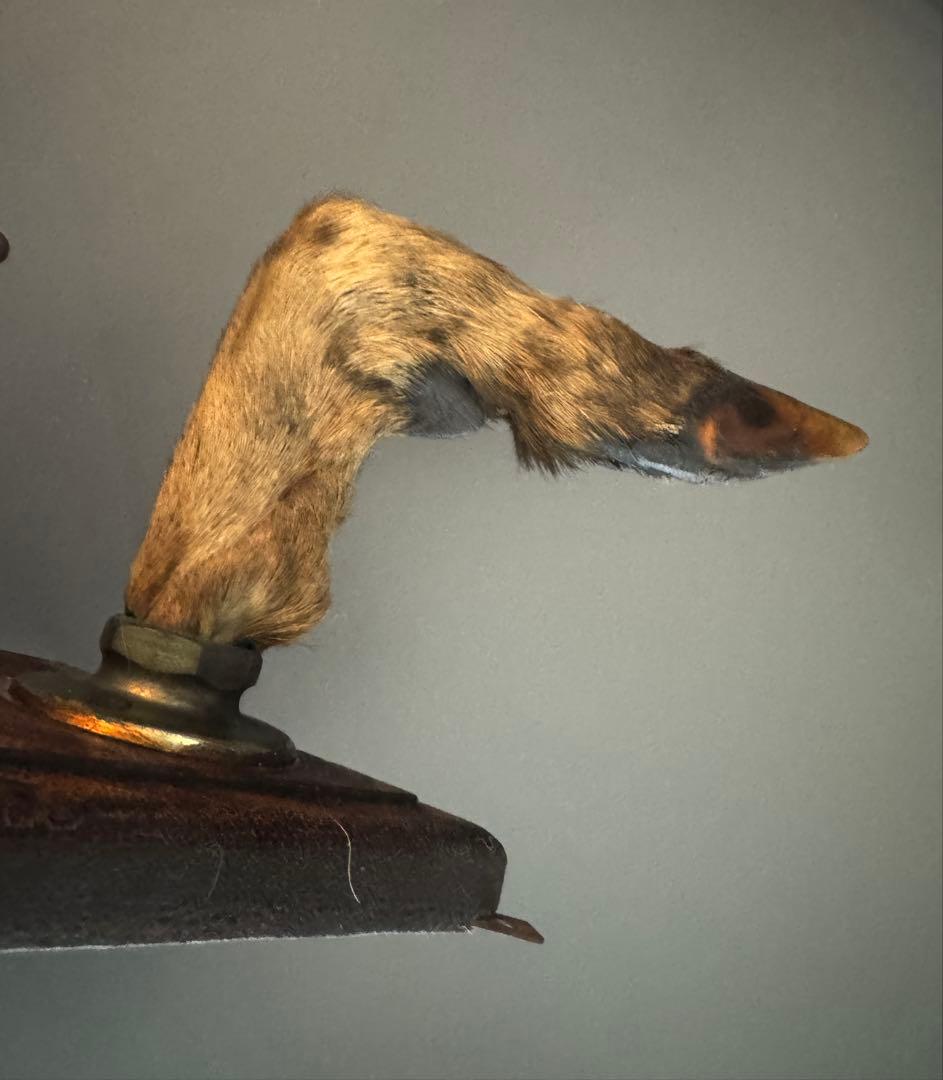 アンティーク★ 鹿足壁掛け　ウォールハンガー　undercover