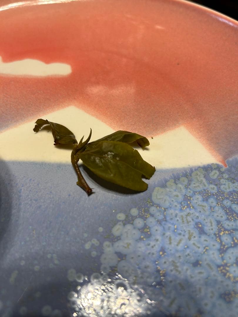 【台湾好茶】頂級 大禹嶺高冷茶150g *5袋 冬茶2025手摘み