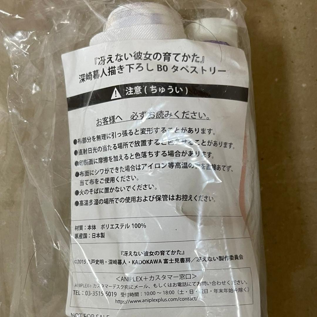 TVアニメ「冴えない彼女の育てかた」ANIPLEX+全巻購入特典B0タペストリー