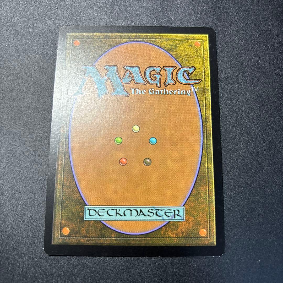 【初版！】霧深い雨林　ZEN版　日本語　foil