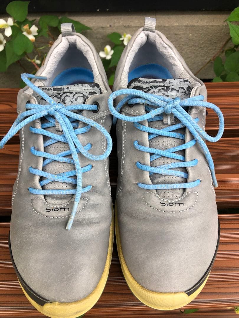 344番 ECCOゴルフシューズbiom グレー37 23.5cmソフトスパイク