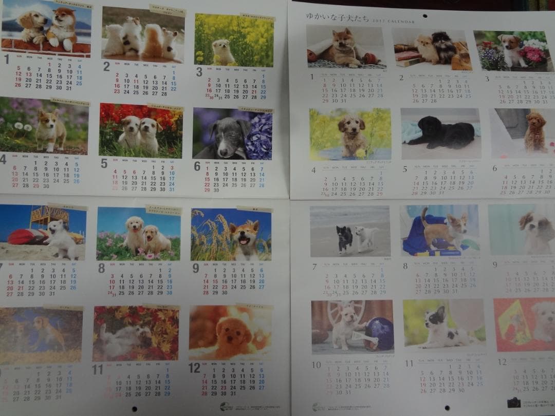 ゆかいな子犬たち　2012－2024カレンダーコレクションセット●新品