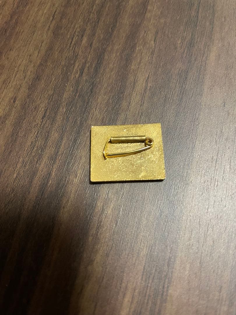 自衛隊　特攻隊　ピンバッジ　徽章　各種58点