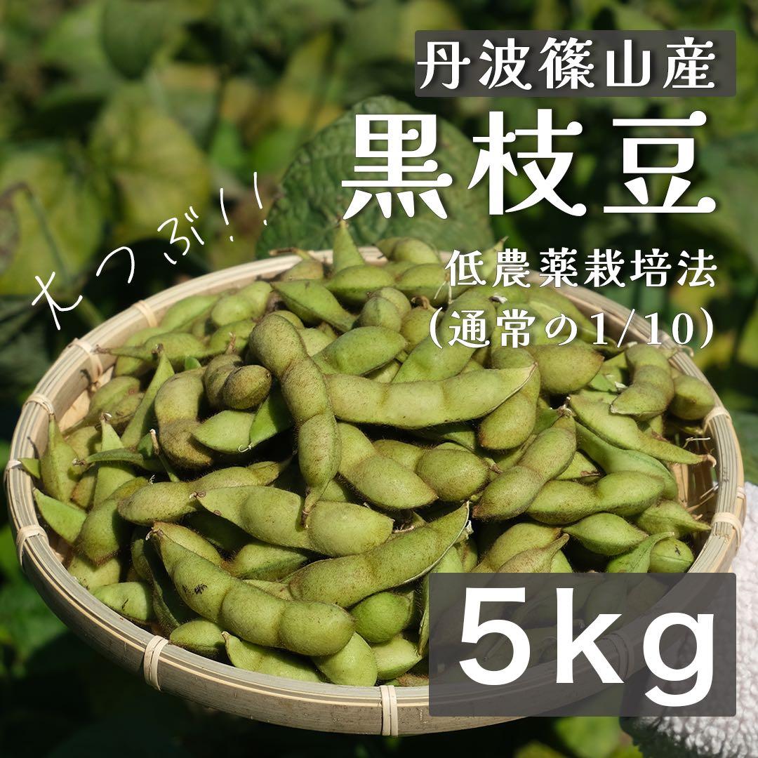 《採れたて》 兵庫県丹波篠山産　黒枝豆　5kg 低農薬栽培 黒大豆