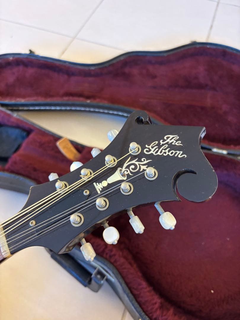Gibson F-5g フラットマンドリン