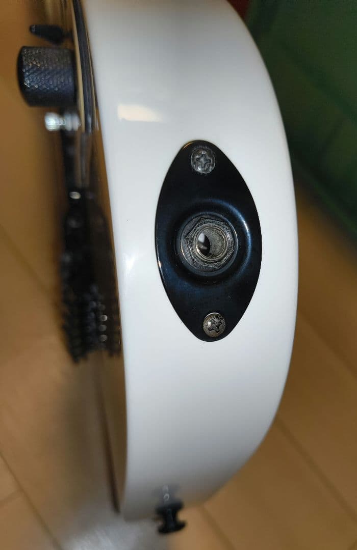 IBANEZ RG350DX (WH) ソフトケース付き