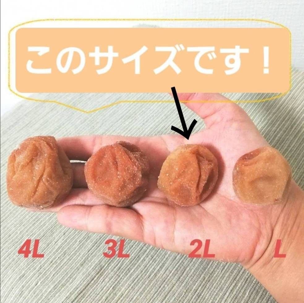 【2Lサイズ9kg】紀州南高梅白干し