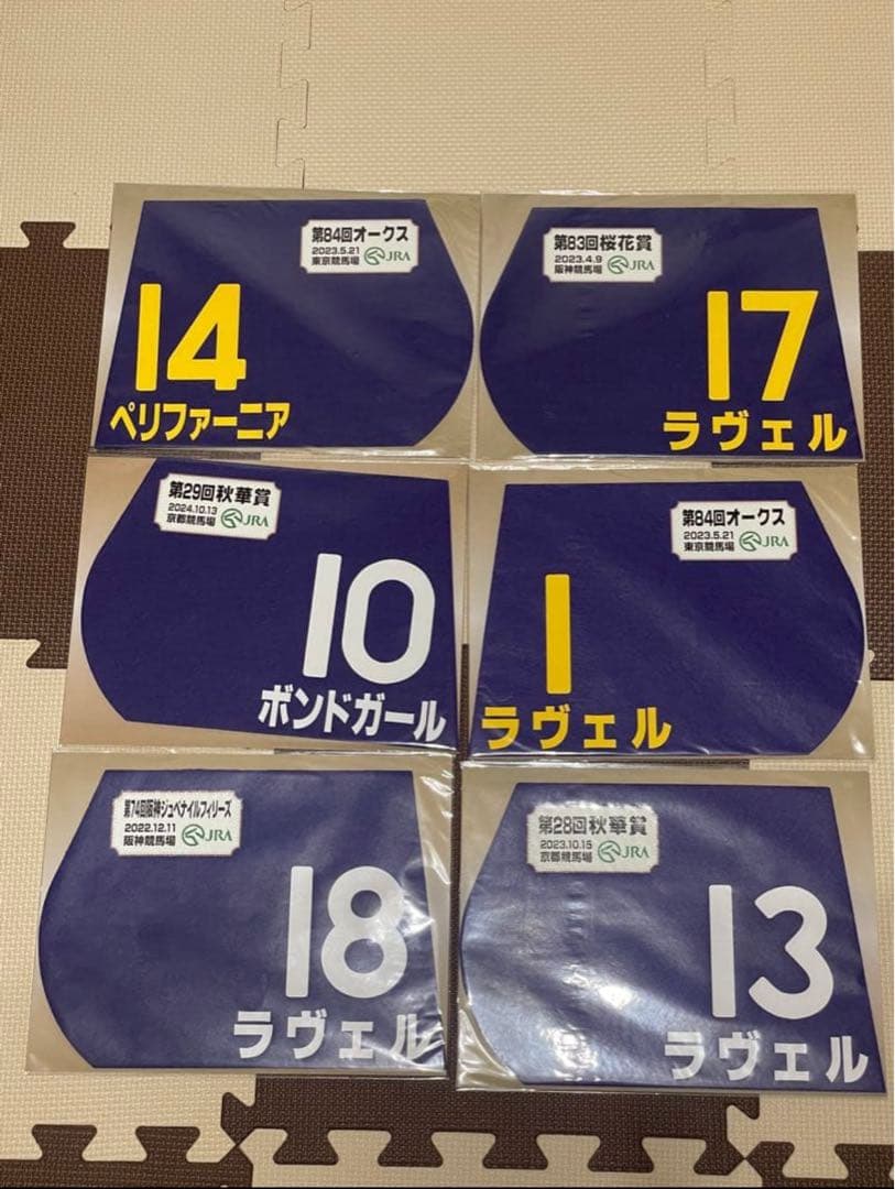 【バラ売り⭕️、匿名配送！】競馬ミニゼッケン イクイノックス他