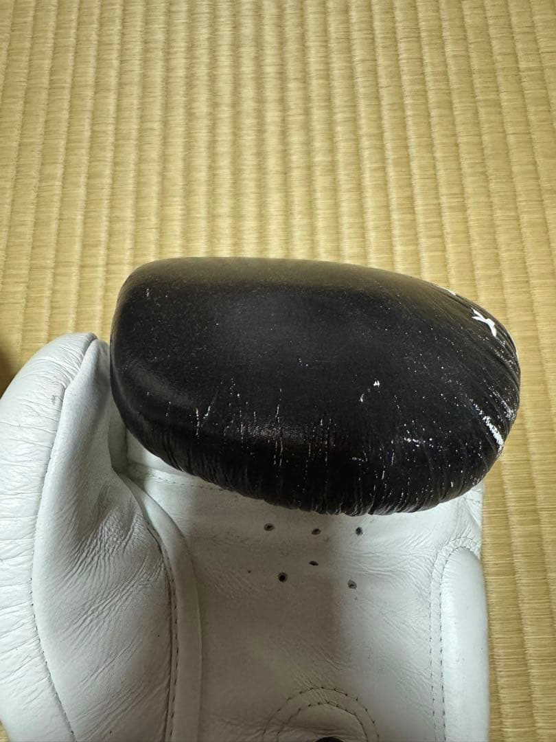 TWINS 14oz グローブ キックボクシング ムエタイ