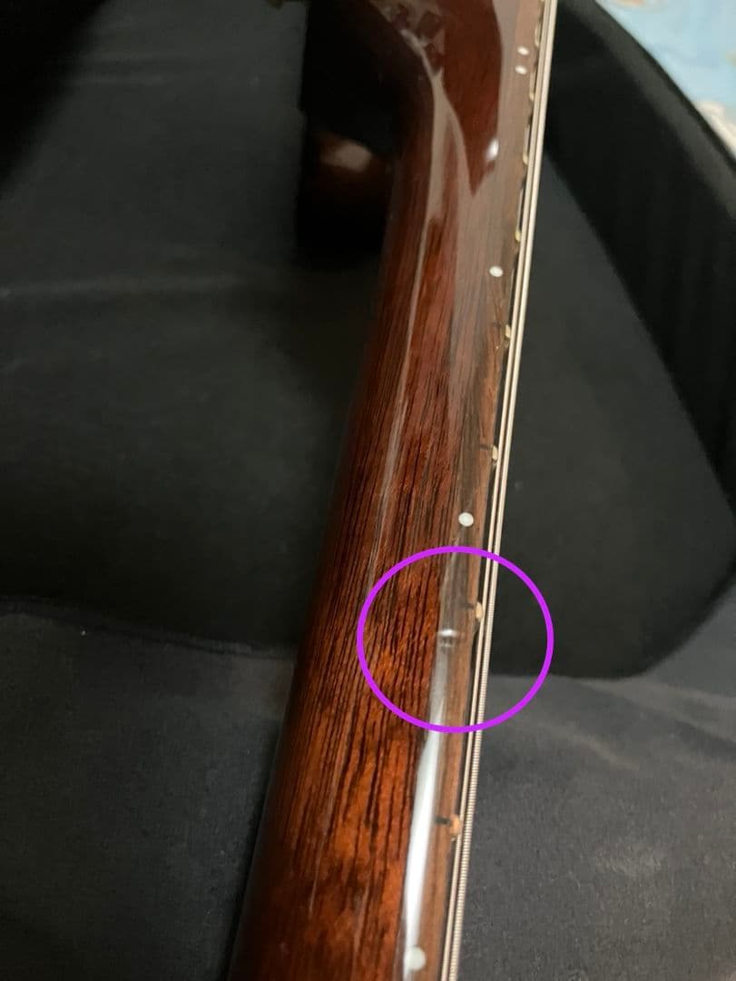 ロゼオ ギター Rozeo Ladybug フルアコースティック 美品