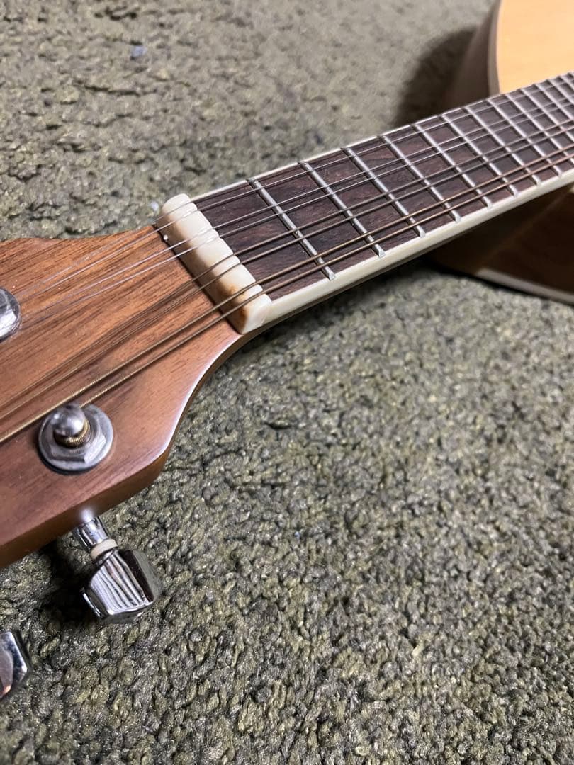 【英国購入】Blue Moon GR3120 マンドリン Aスタイル ケース付