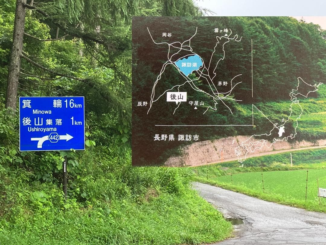 山栗 百花蜜 1000g 2本 信州産 セイヨウミツバチ 栗蜜 国産蜂蜜