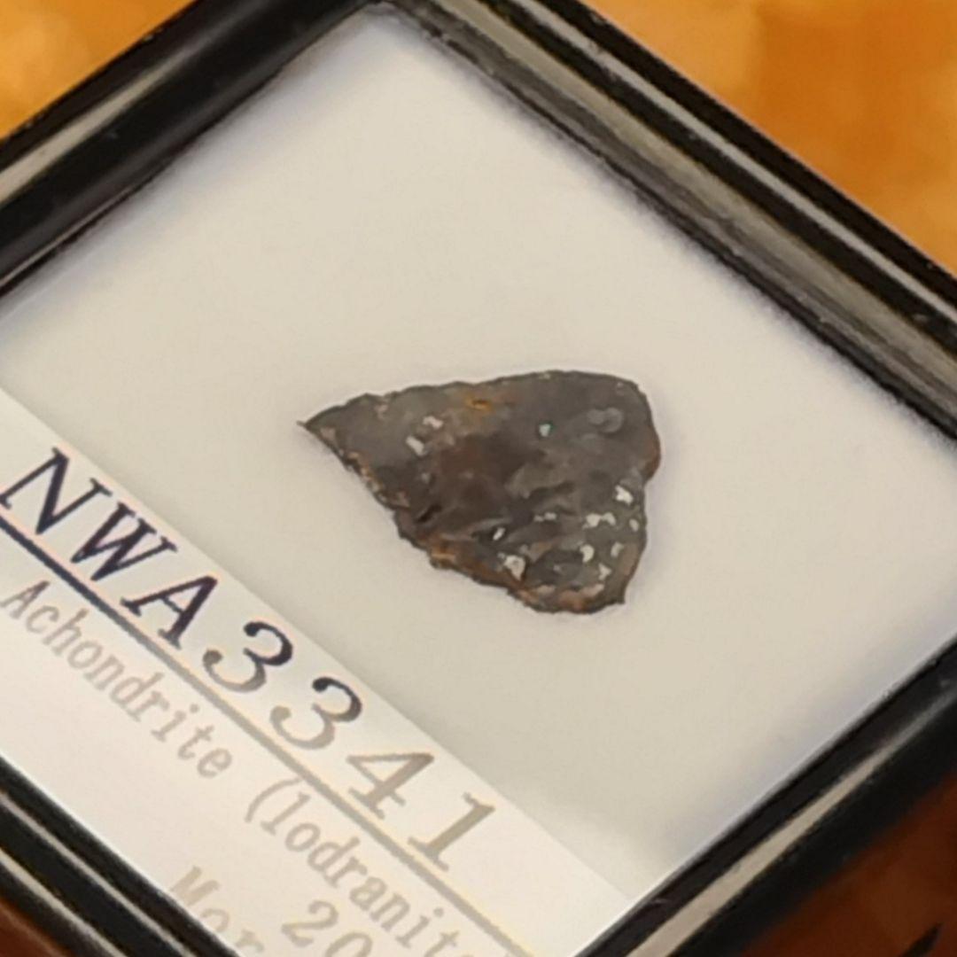 超希少！ロードラナイト✨NWA3341（原始的無球粒）隕石標本