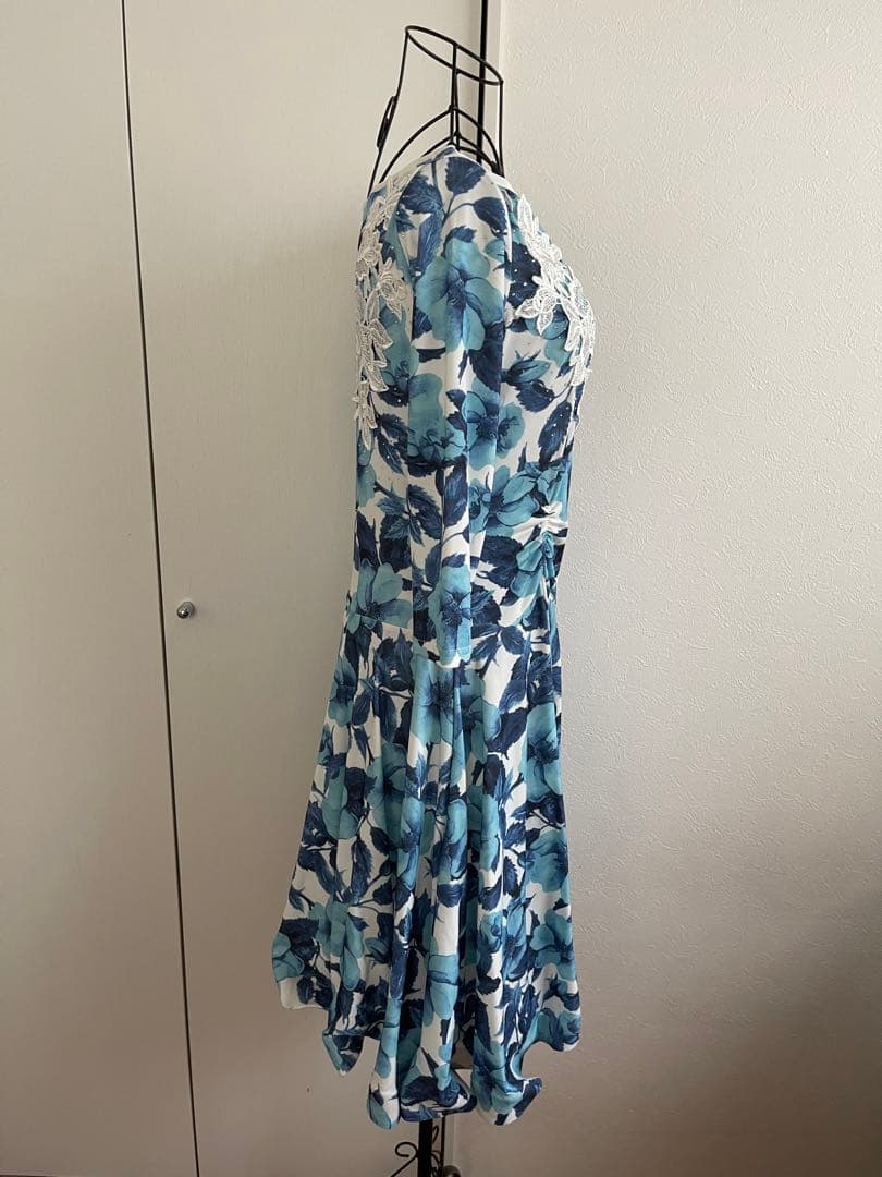 美品❣️ ✨レイリーナ　社交ダンスパーティードレス✨