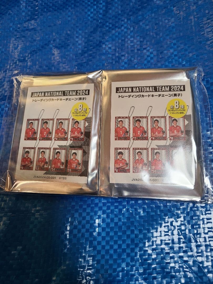 男子バレー日本代表 トレーディングカードキーチェーン コンプリートセット