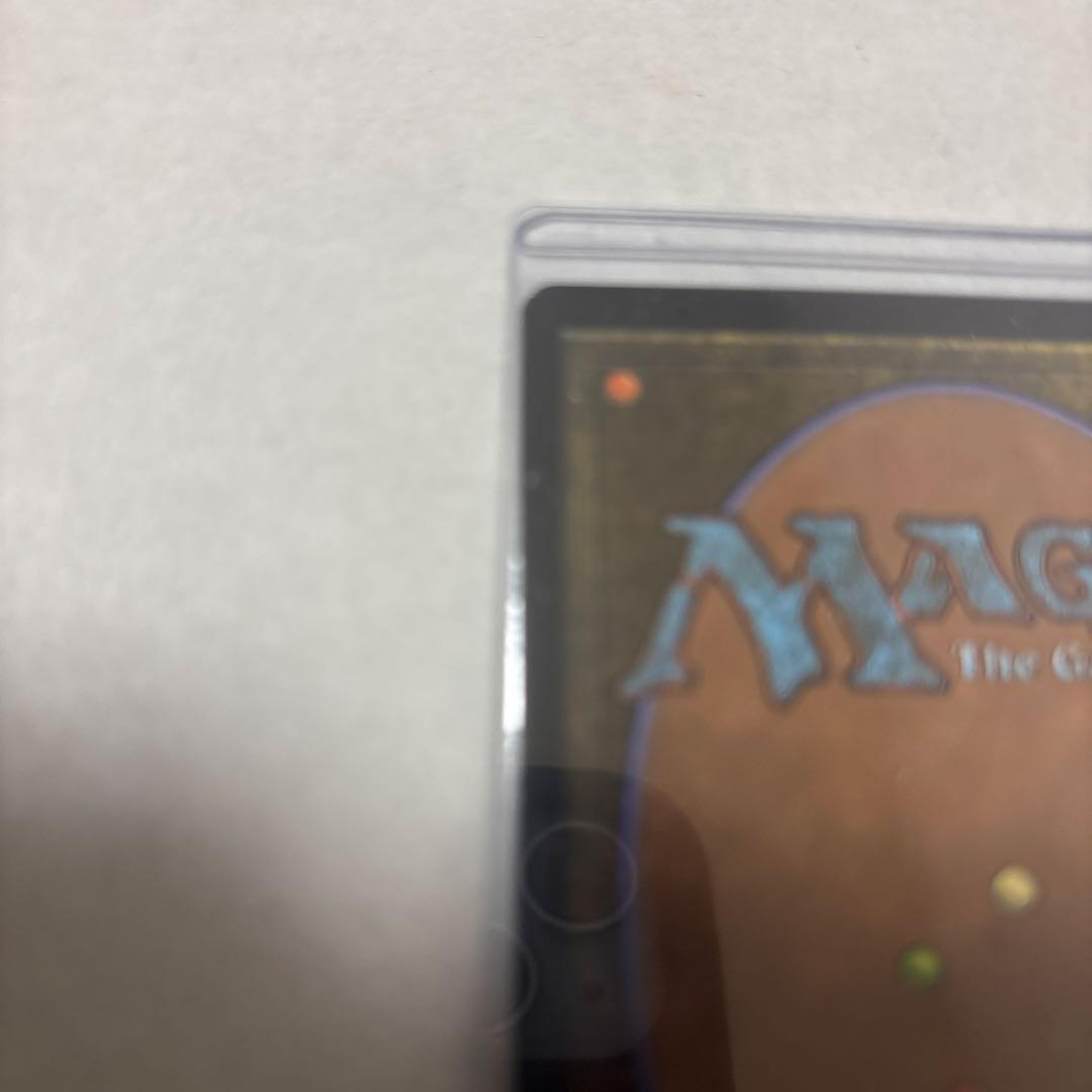 オセロットの群れ　ストアチャンピオンシップ優勝プロモ　MTG