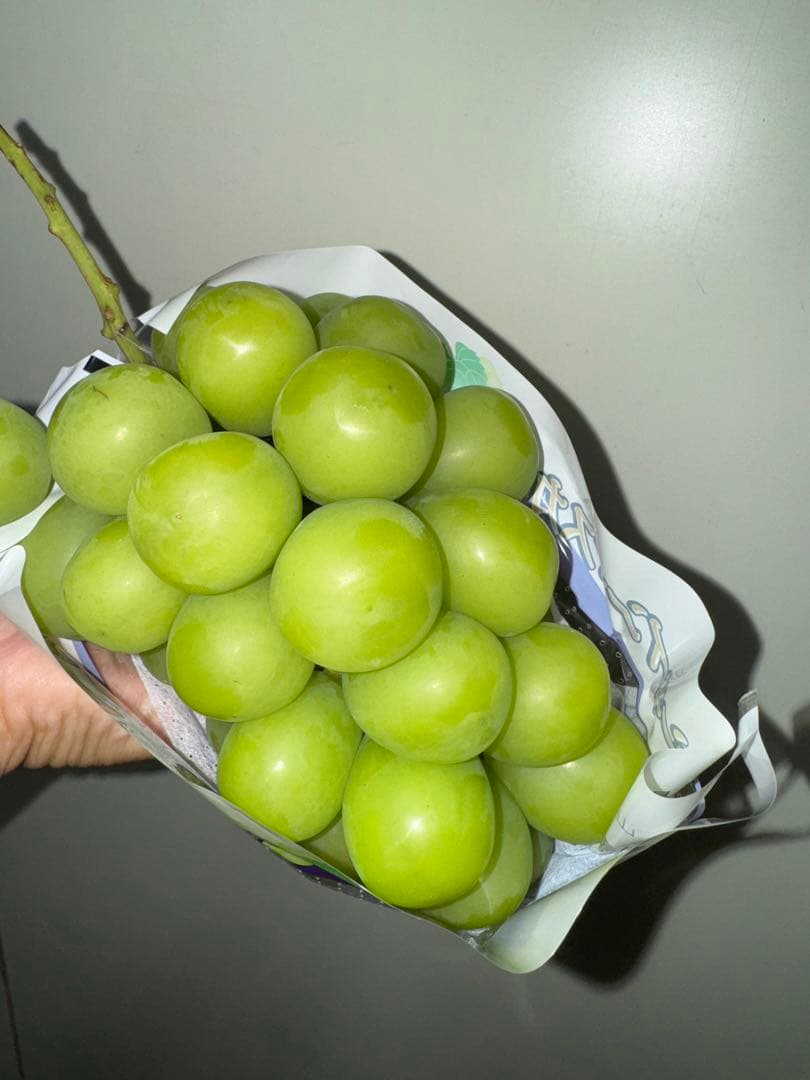 ERICA⭐️JA共選品シャインマスカット 種なし巨峰セット