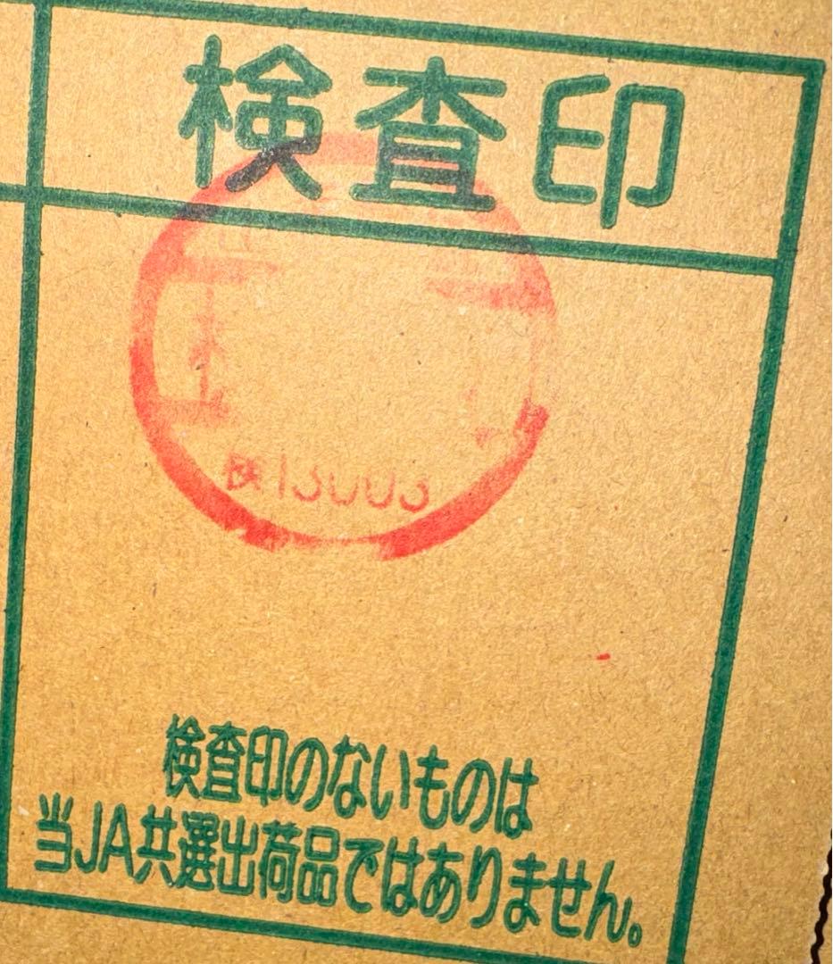 ERICA⭐️JA共選品シャインマスカット 種なし巨峰セット