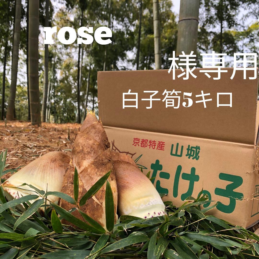 rose 白子筍 5キロ箱込み