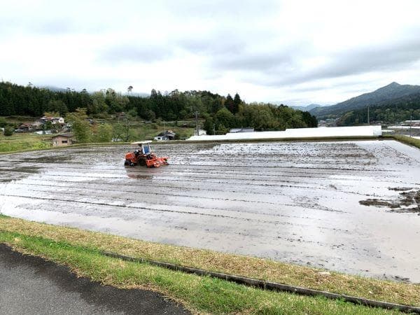 農家保有米 令和7年産 20キロ 玄米 コシヒカリ 20kg(5kg×4) 新米