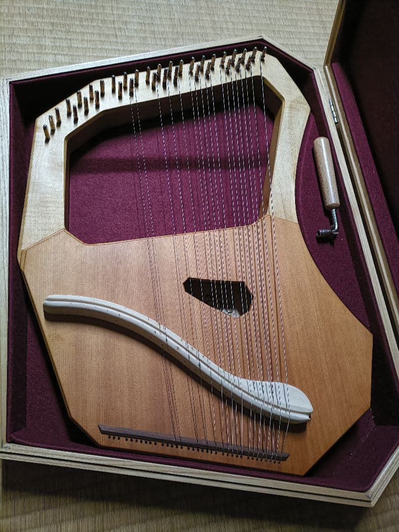 ライアー　ライヤー　35弦　コロイ　choroi　弦楽器　ハープ　竪琴　楽器