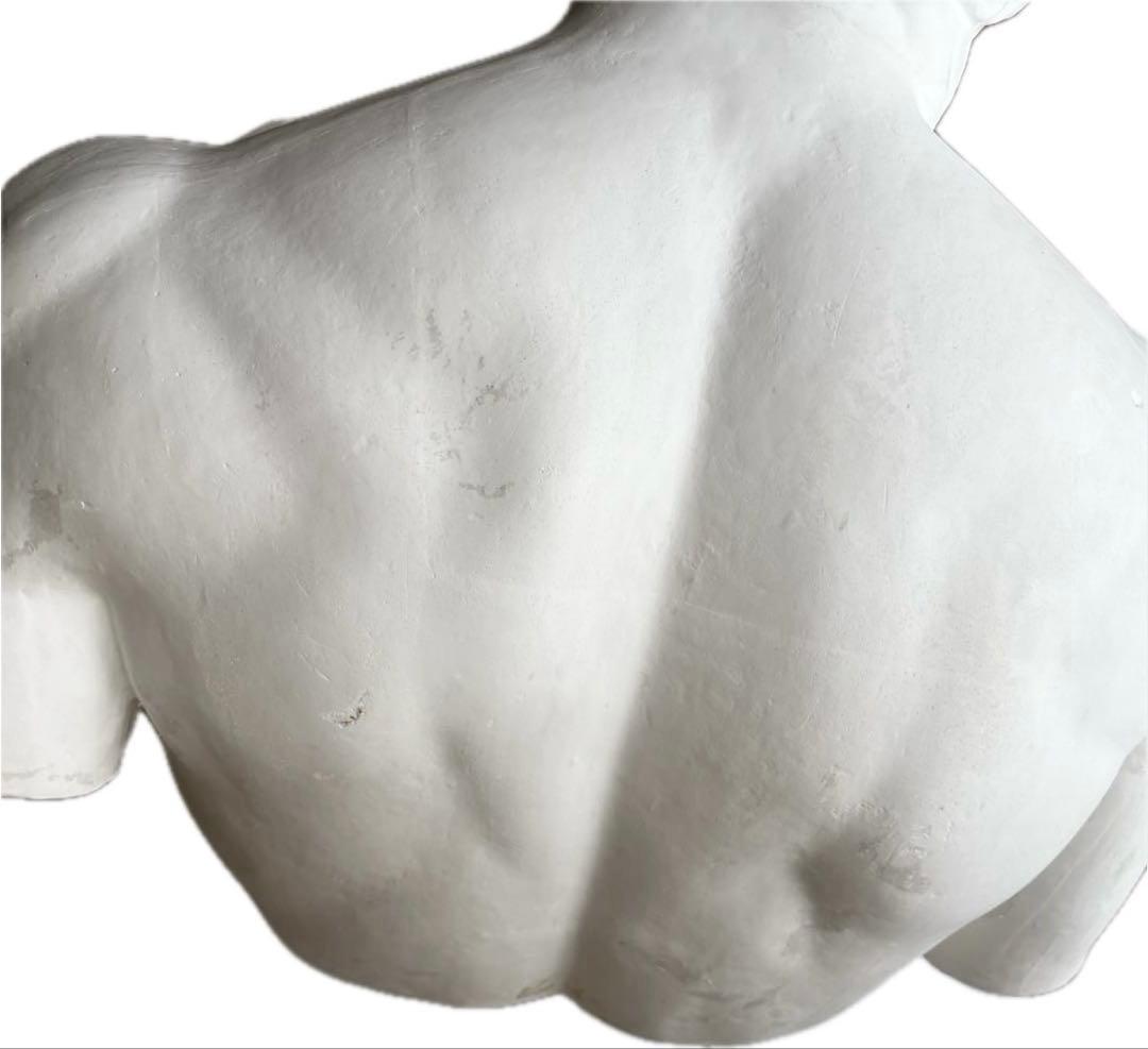 石膏像 マルス 胸像