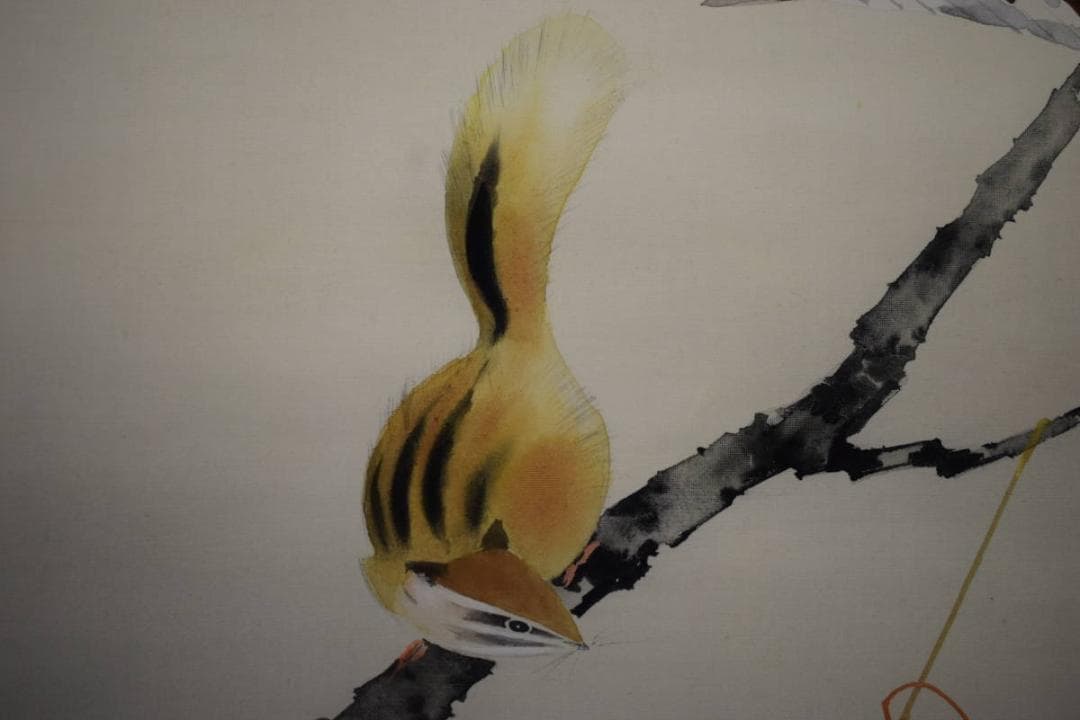 不詳/作者不詳/紅葉リス図/烏瓜/カラスウリ/布袋屋掛軸HG-839