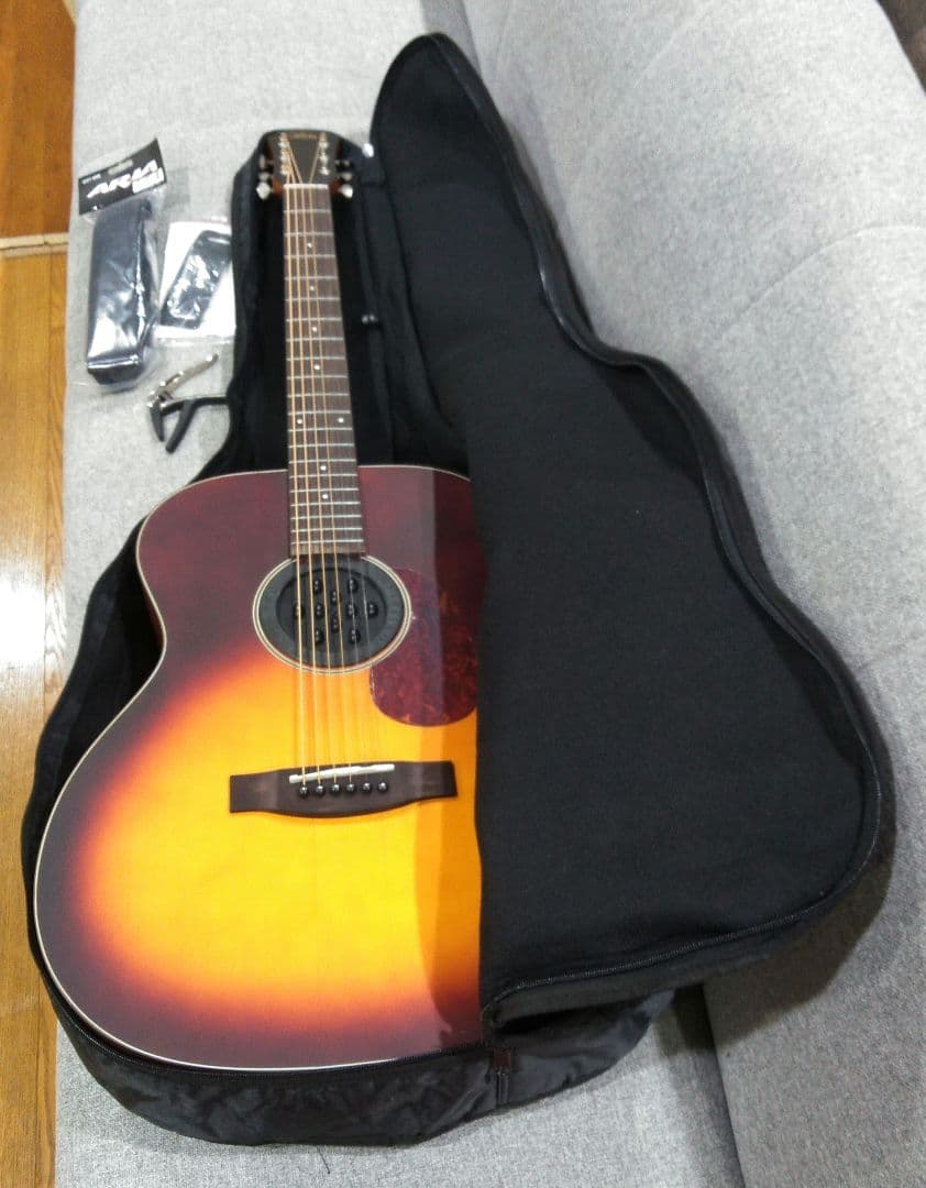 ARIA 　Aria　アコースティックギター　101 MTTS　ギターケース付き